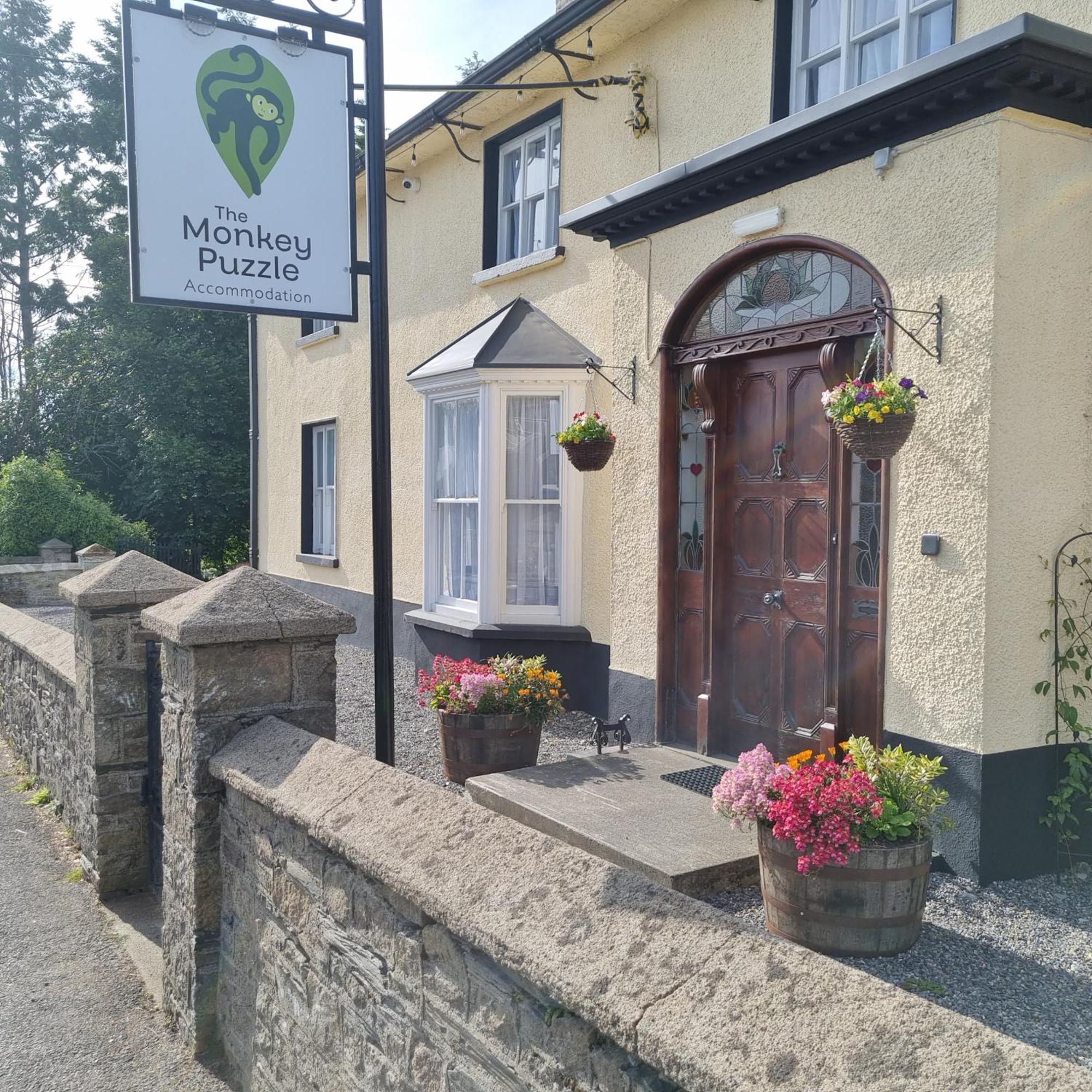 Hotel The Monkey Puzzle Bunclody Exterior foto